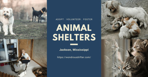 Animal shelters in Jackson, Mississippi