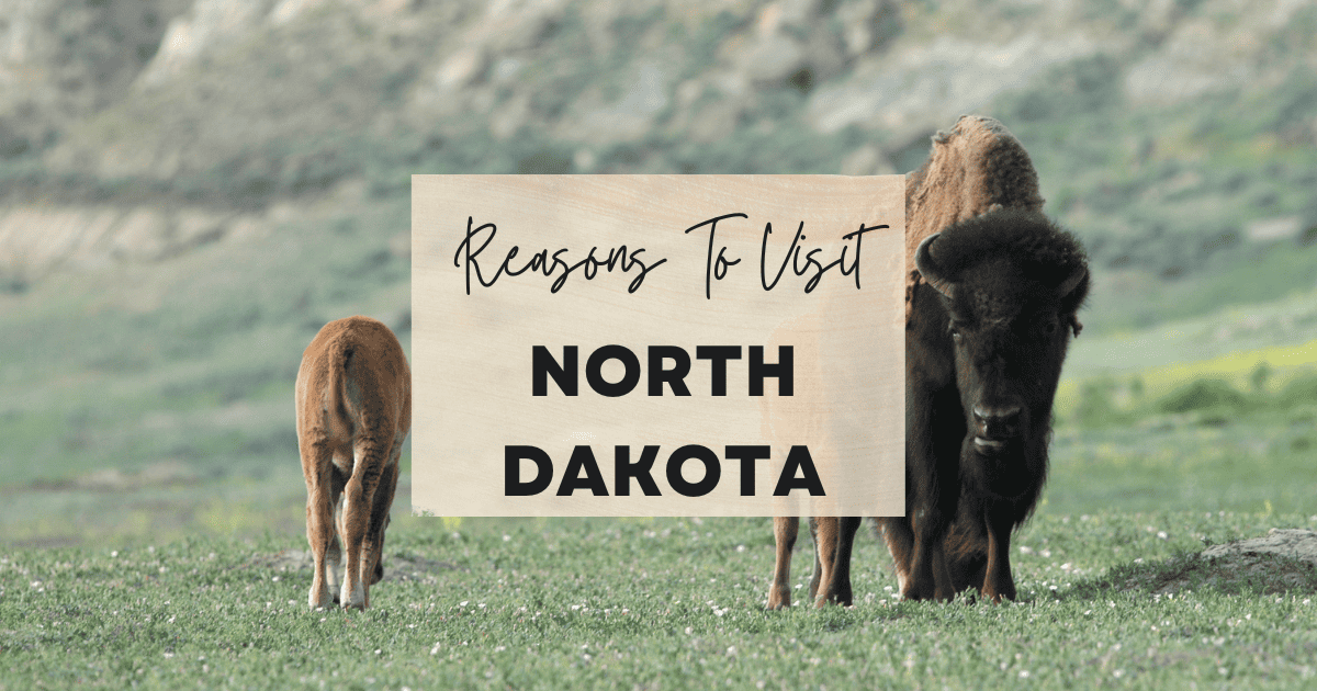 Best Things to do in and places to go in North Dakota cover image