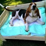 DIY Wooden Pallets Dog Bed Plan | Wood Pallet Furniture