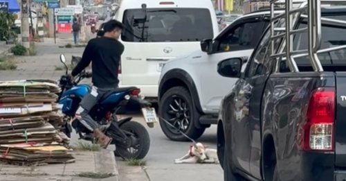 Des voitures klaxonnent et une femme se met en travers du chemin d’un homme qui traîne son chien à moto