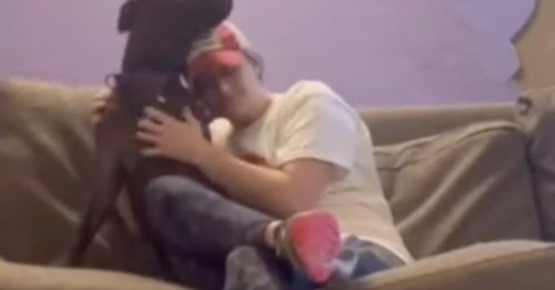 « La vie en chenil lui pèse », après 700 jours passés au refuge, ce chien attend toujours de rencontrer sa future famille (vidéo)
