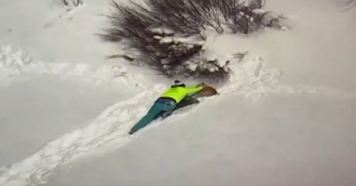 Des sauveteurs aguerris utilisent une technique improbable, mais efficace, pour retrouver un chien perdu en montagne