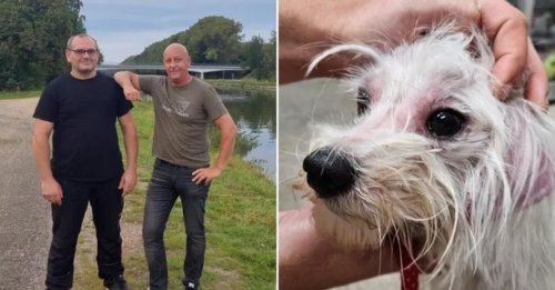 Des amis voient leur partie de pêche interrompue lorsqu’ils surprennent un homme en train de jeter son chien dans un canal