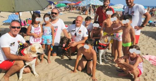 3 chiens sauveteurs sauvent 14 personnes, dont 8 enfants, emportées par la mer