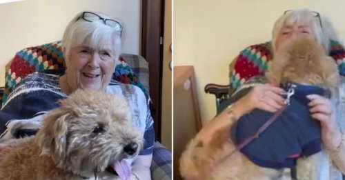 Une résidente d'une maison de retraite contrainte de se séparer de son chien reçoit un cadeau émouvant (vidéo)