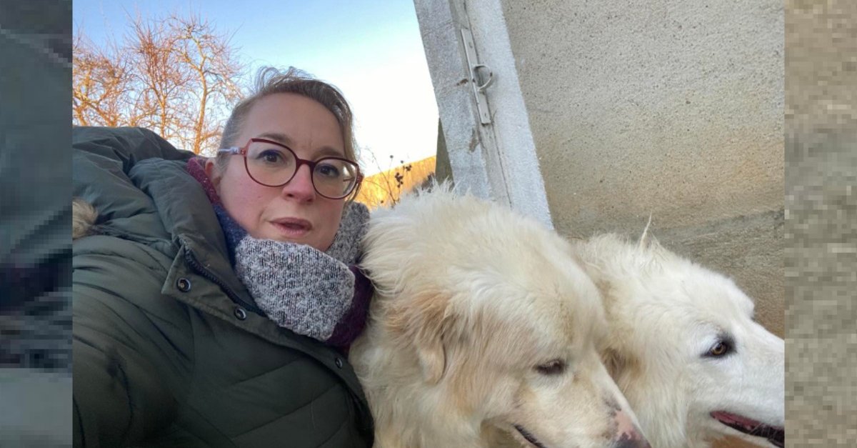 L’année commence très bien pour la famille de 2 Patous mystérieusement disparus 11 jours plus tôt et ayant déclenché une forte mobilisation