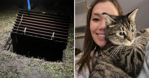 Son chat coincé dans un égout sous une autoroute, une femme décide d’y descendre elle-même pour le secourir