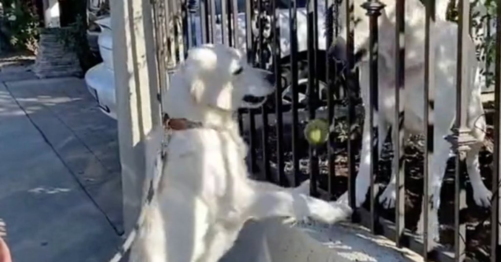 Beau Qui Fait Du Bien - cover