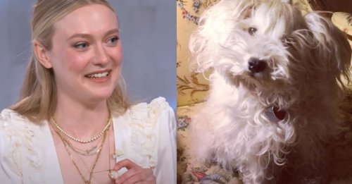 L'actrice Dakota Fanning se confie sur le précieux souvenir qu'elle garde de son défunt chien