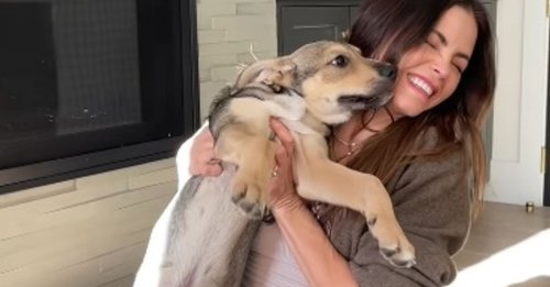 L'actrice Jenna Dewan se voit offrir un chiot qui l'aide à guérir son coeur brisé après le décès de son chien