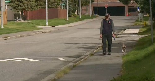 Un homme de 68 ans et son chien férus de marche ont parcouru en 8 ans l'équivalent d'un tour du monde