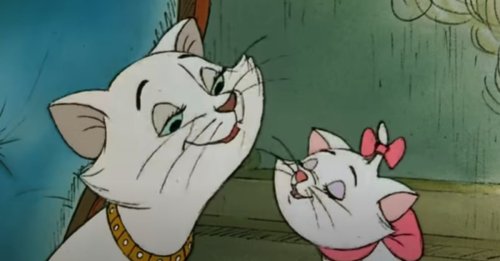 Pour le remake du film "Les Aristochats", Disney aurait prévu de mettre en scène de vrais chats