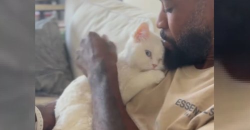 Derrière l'apparent désintérêt de cette chatte pour sa propriétaire au profit de son "papa" se cache la belle histoire de son adoption (vidéo)