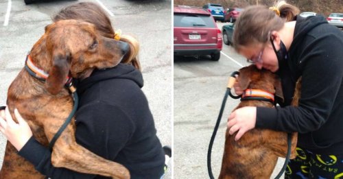 Un chien de refuge se précipite pour aider une adolescente victime d'une crise d'angoisse : c'est le coup de foudre (vidéo)