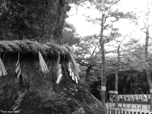 Especial Shinto – Repensando a Natureza no Japão Contemporâneo