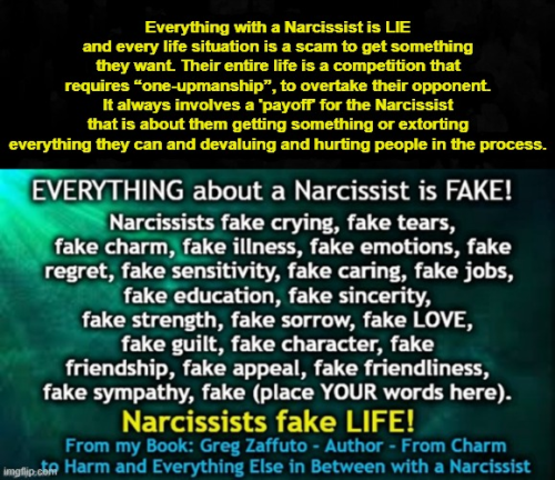 ‘Fake’ does not completely and accurately describe a Narcissist because ...