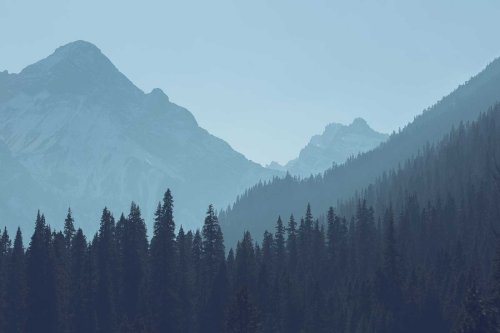 Diaries Blog