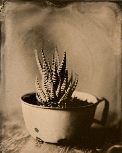 World Wet Plate Day!