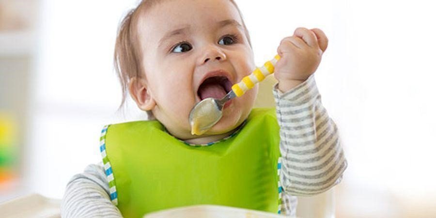 Baby Food cover image