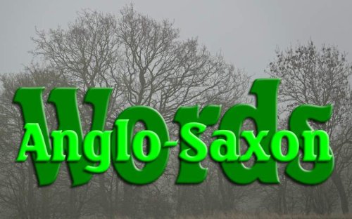 Anglo-Saxon Words