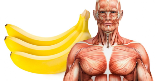 Eat Two Bananas Every Day To Lose 20 Pounds In A Month
