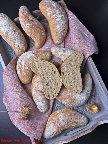 Brotwurzeln…leckere Brötchen mit Sauerteig