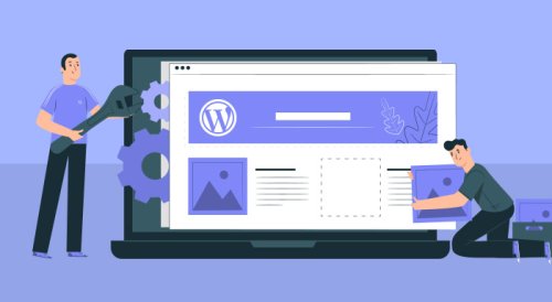 Custom WordPress Theme Vs Theme Customization - WordPress India