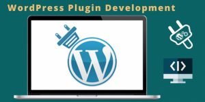 9 Crucial Points to Consider While Deciding on WordPress Plugin Development