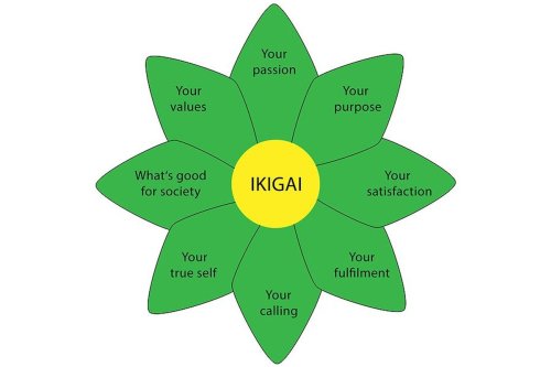 Ikigai: Are You Doing What Brings You Joy?