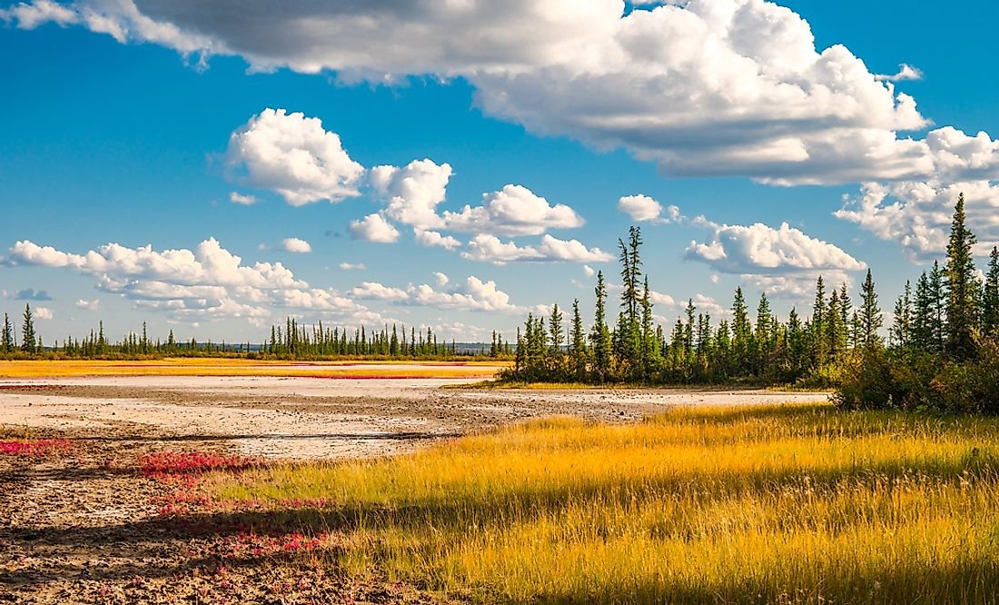 The Biggest National Parks And Reserves In Canada