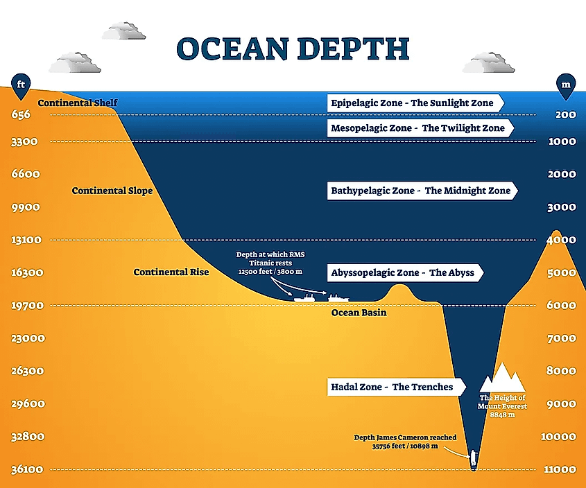 Maria Zones The Mariana Trench Is 7 Miles Deep: What’s Down There? | Flipboard