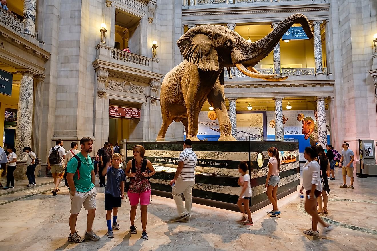 10 Best Natural History Museums Around The Globe