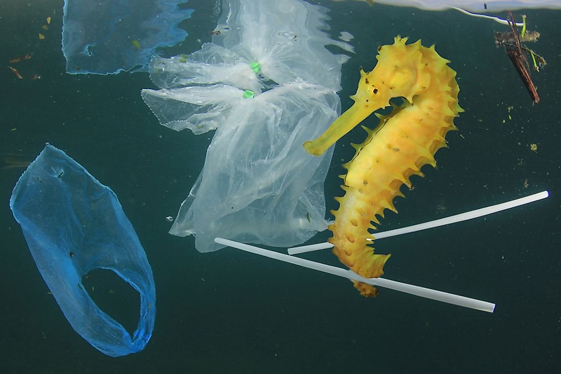 Which Ocean is the Most Polluted?