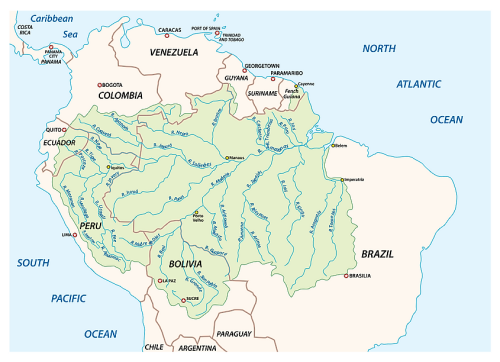 Amazon River - Flipboard
