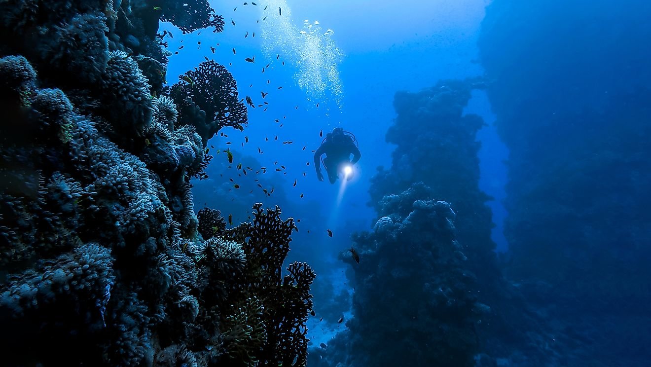 11 Strangest Things Found Deep in the Pacific Ocean