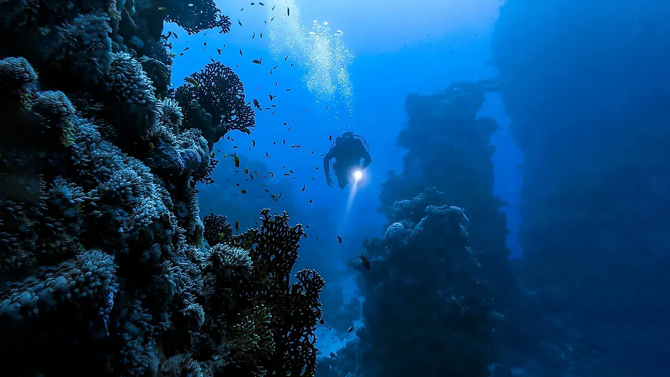 11 Strangest Things Found Deep in the Pacific Ocean