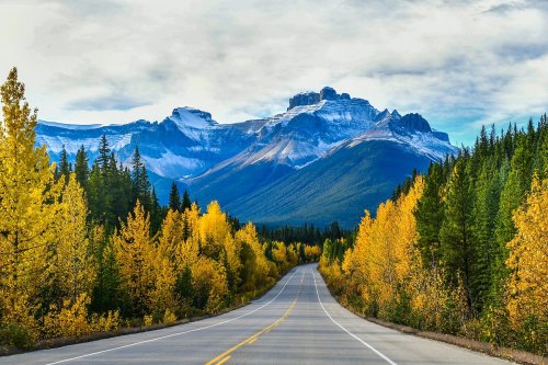 10 Of The Most Scenic Road Trips To Take In The US