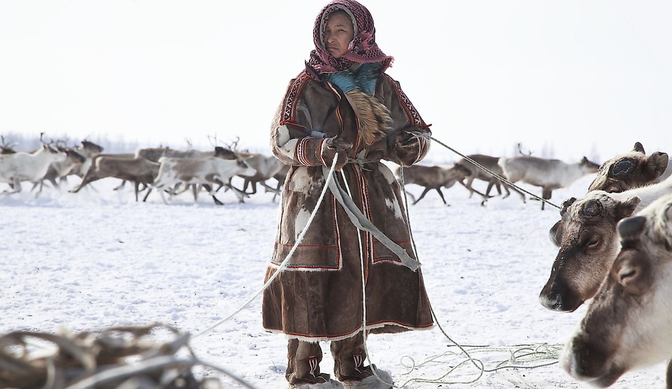 Effects Of Climate Change On The Arctic Peoples Of The World