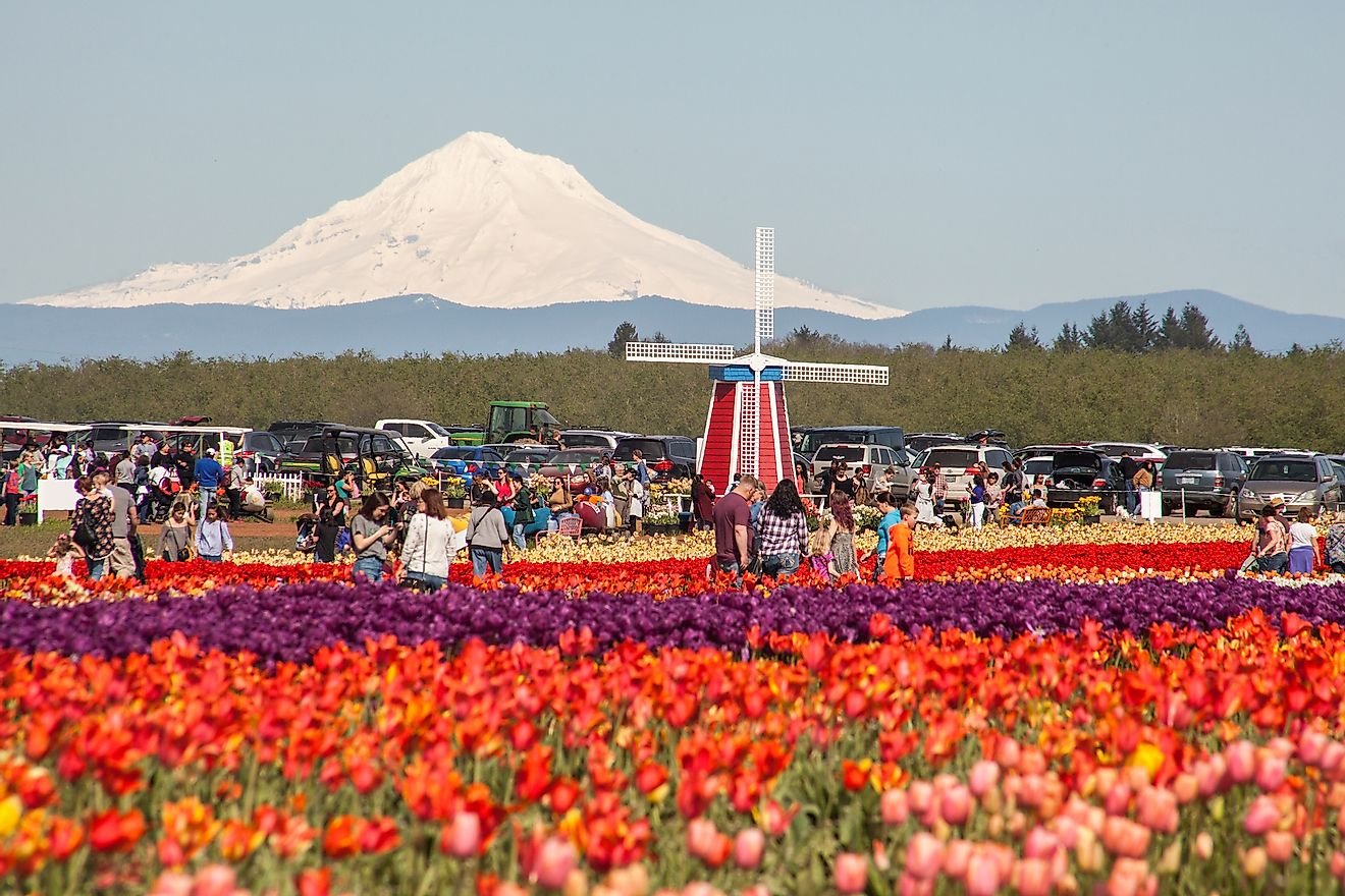 11 Colorful Spring Destinations In The United States