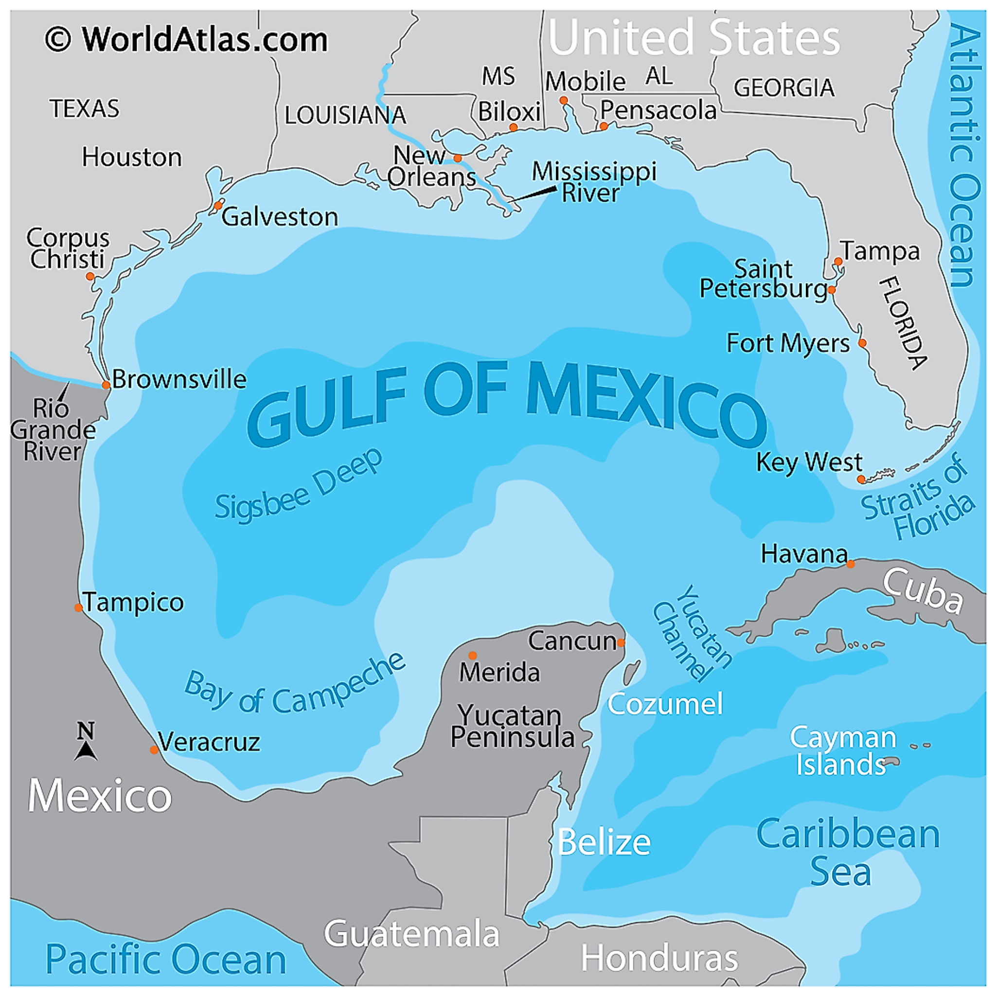 Sigsbee Deep Is Deepest Part of The Gulf Of Mexico: What's Down There?