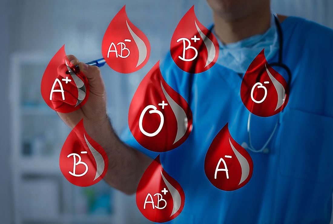 World Population By Percentage of Blood Types