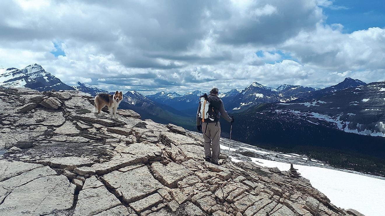Best Hikes To Do In The Canadian Rocky Mountains