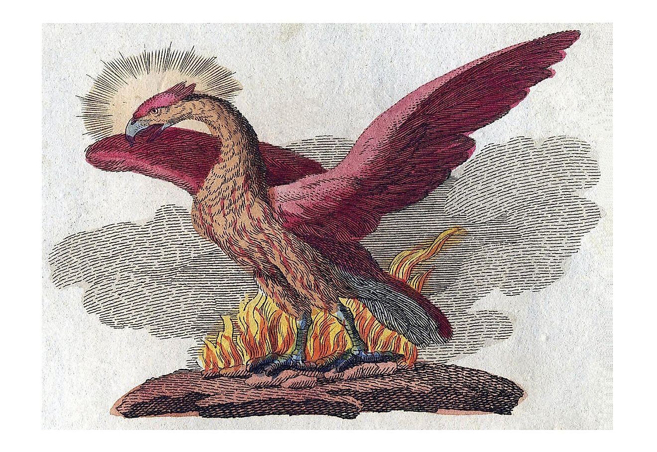 The Phoenix: How This Mythical Bird Became a Symbol of Rebirth