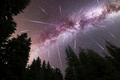 The 2022 Perseid Meteor Shower: When and Where to Watch It