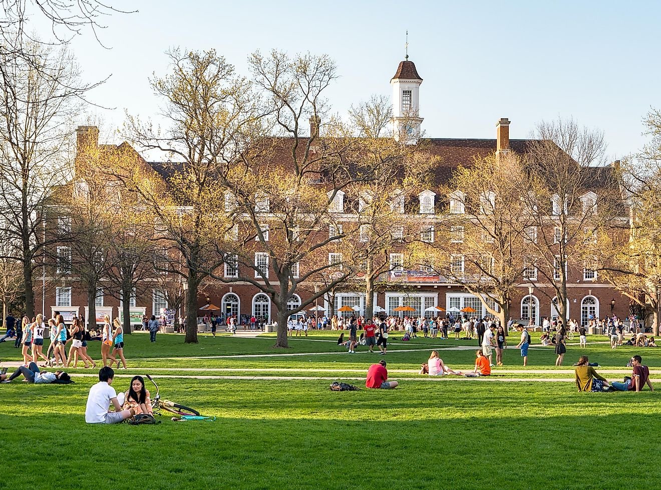 The 10 Largest Universities In The United States