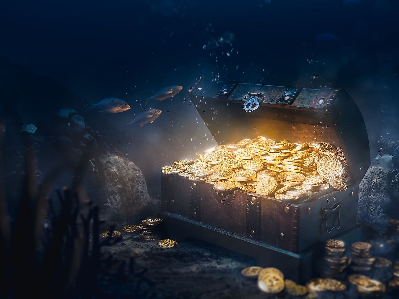 The Most Valuable Things Ever To Be Found In The Ocean
