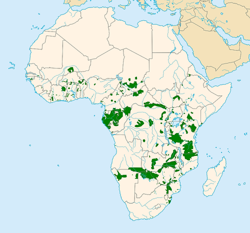 African Elephant habitat range has declined by 50% in the last 40 years.