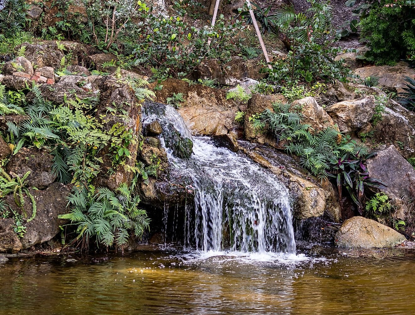 7 Most Beautiful Waterfalls in Florida You Should Visit