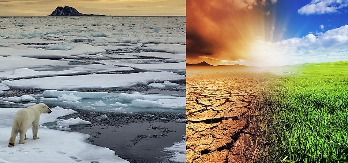 How Is Climate Change Affecting The Earth's Different Ecosystems?