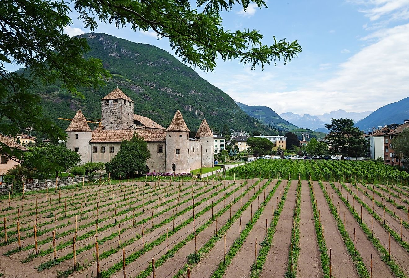 The High Middle Ages: A Period of Great Growth in Europe